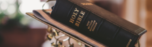 15th Sunday after Pentecost